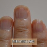 爪を伸ばし始めて22週目