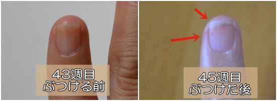 爪を伸ばすための指の使い方