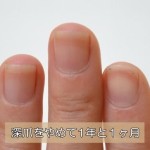 深爪を辞めて1年と1ヶ月