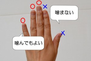 爪噛み癖の辞め方　噛んでもよい指を作る